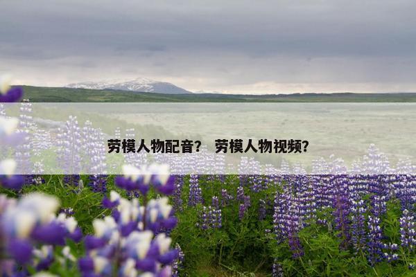 劳模人物配音？ 劳模人物视频？