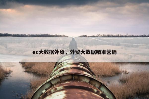 ec大数据外贸，外贸大数据精准营销