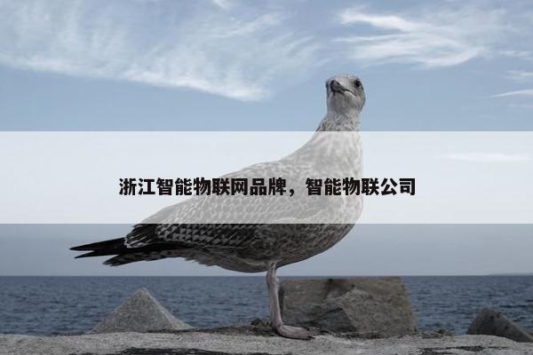 浙江智能物联网品牌，智能物联公司