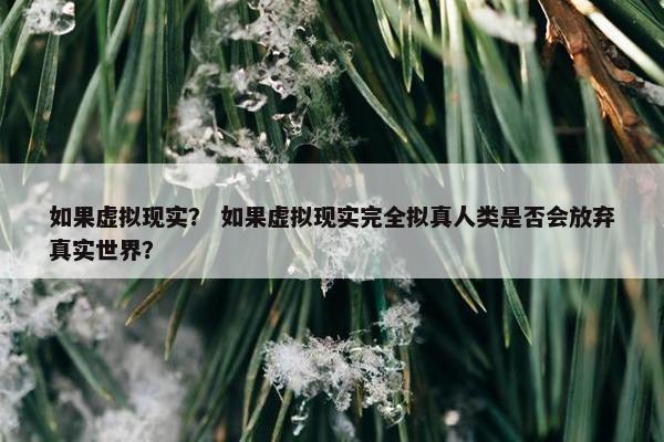 如果虚拟现实？ 如果虚拟现实完全拟真人类是否会放弃真实世界？