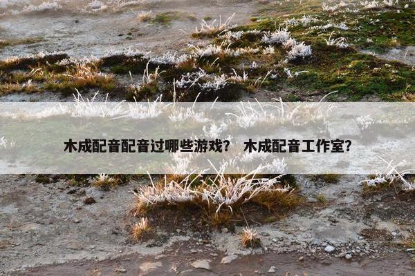 木成配音配音过哪些游戏？ 木成配音工作室？