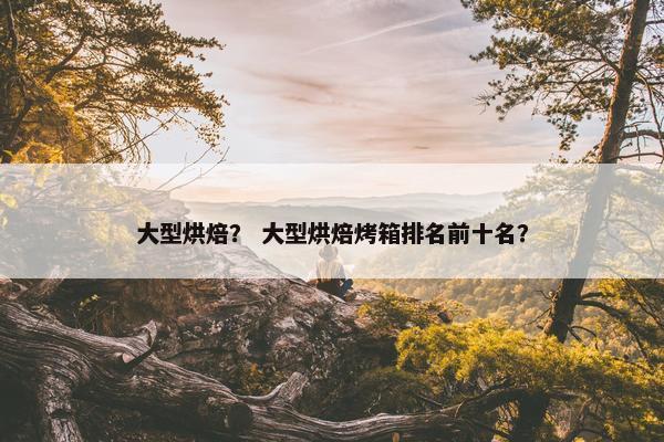 大型烘焙？ 大型烘焙烤箱排名前十名？