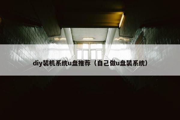 diy装机系统u盘推荐（自己做u盘装系统）