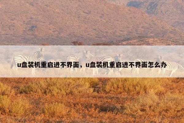 u盘装机重启进不界面，u盘装机重启进不界面怎么办