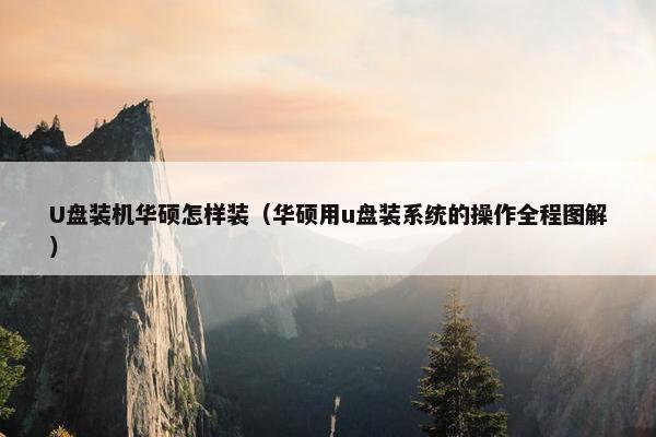 U盘装机华硕怎样装（华硕用u盘装系统的操作全程图解）