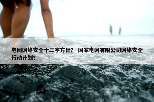 电网网络安全十二字方针？ 国家电网有限公司网络安全行动计划？