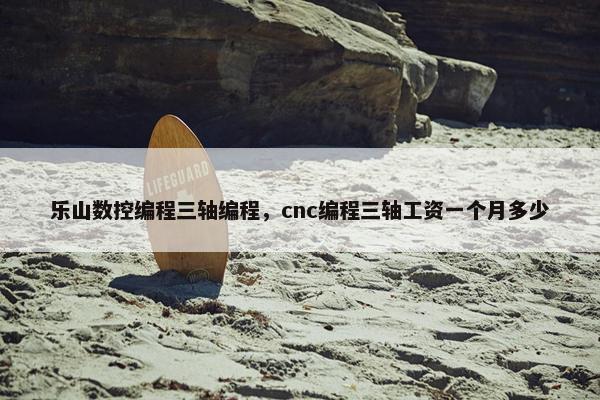 乐山数控编程三轴编程，cnc编程三轴工资一个月多少