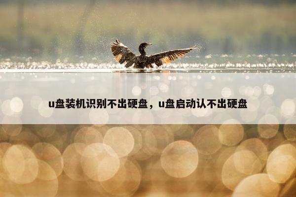 u盘装机识别不出硬盘，u盘启动认不出硬盘