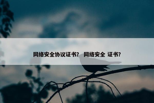 网络安全协议证书？ 网络安全 证书？