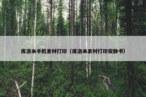库洛米手机素材打印（库洛米素材打印安静书）