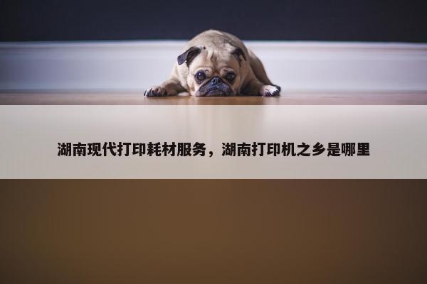 湖南现代打印耗材服务，湖南打印机之乡是哪里