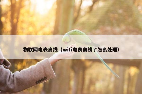 物联网电表离线（wifi电表离线了怎么处理）