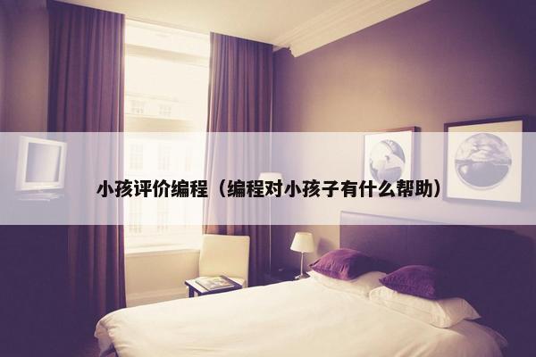 小孩评价编程（编程对小孩子有什么帮助）