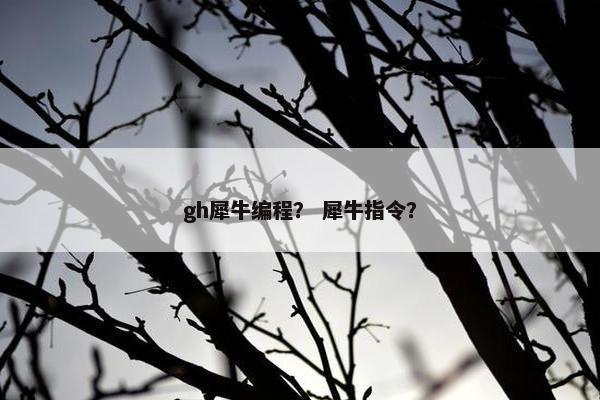 gh犀牛编程？ 犀牛指令？