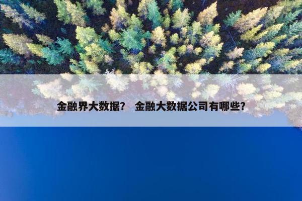 金融界大数据？ 金融大数据公司有哪些？