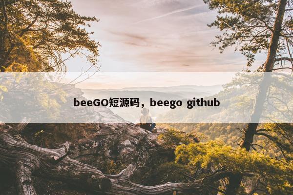 beeGO短源码，beego github