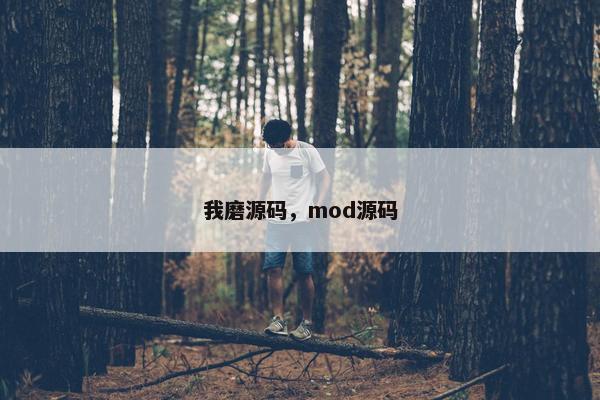 我磨源码，mod源码