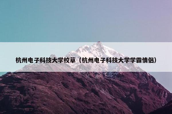 杭州电子科技大学校草（杭州电子科技大学学霸情侣）