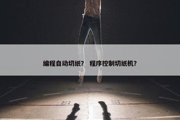 编程自动切纸？ 程序控制切纸机？