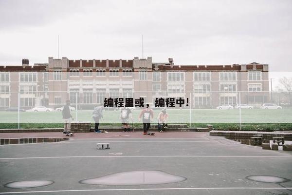 编程里或，编程中!
