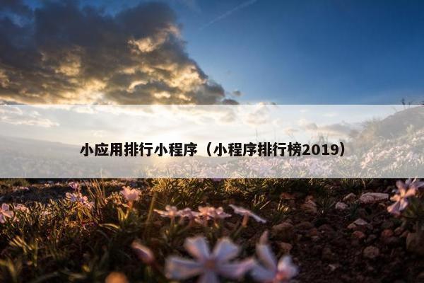 小应用排行小程序（小程序排行榜2019）