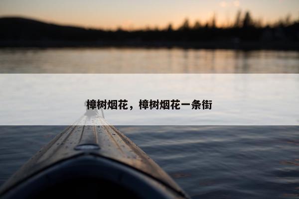 樟树烟花，樟树烟花一条街
