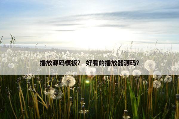 播放源码模板？ 好看的播放器源码？