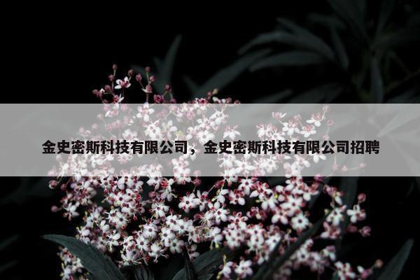 金史密斯科技有限公司，金史密斯科技有限公司招聘