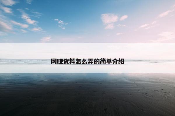 网赚资料怎么弄的简单介绍