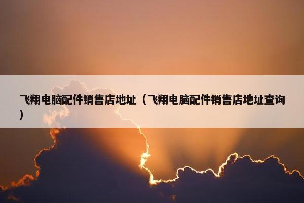 飞翔电脑配件销售店地址（飞翔电脑配件销售店地址查询）