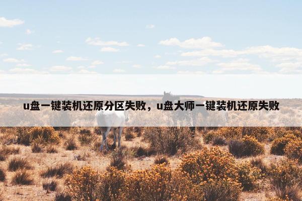 u盘一键装机还原分区失败，u盘大师一键装机还原失败