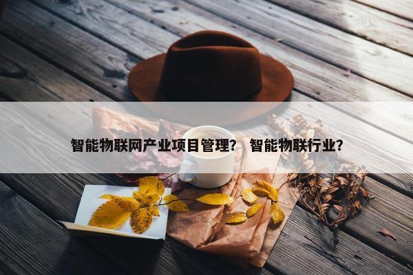 智能物联网产业项目管理？ 智能物联行业？
