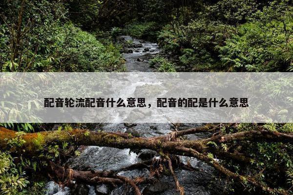 配音轮流配音什么意思，配音的配是什么意思