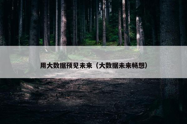 用大数据预见未来（大数据未来畅想）