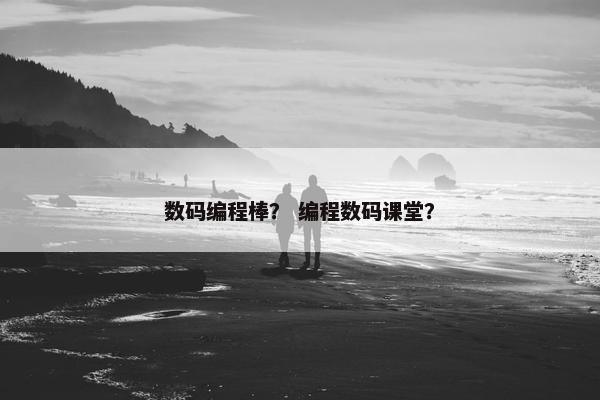 数码编程棒？ 编程数码课堂？