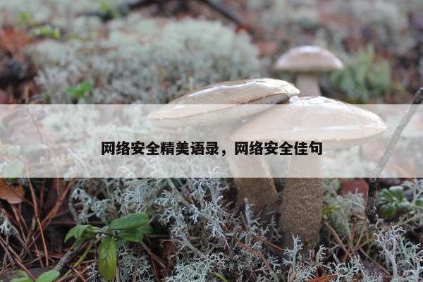 网络安全精美语录，网络安全佳句