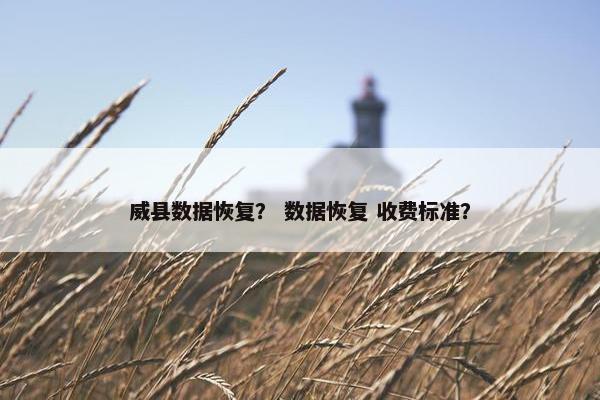 威县数据恢复？ 数据恢复 收费标准？