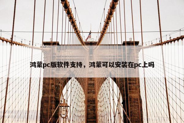鸿蒙pc版软件支持，鸿蒙可以安装在pc上吗