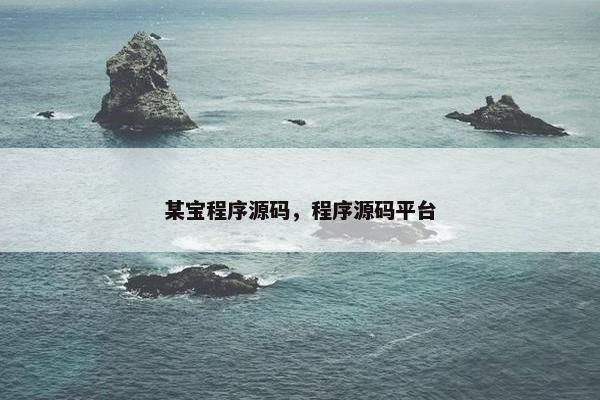 某宝程序源码，程序源码平台