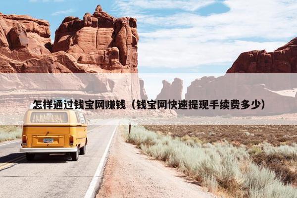 怎样通过钱宝网赚钱（钱宝网快速提现手续费多少）