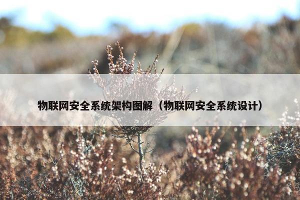 物联网安全系统架构图解（物联网安全系统设计）