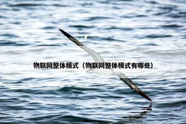物联网整体模式（物联网整体模式有哪些）