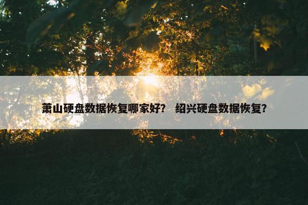 萧山硬盘数据恢复哪家好？ 绍兴硬盘数据恢复？