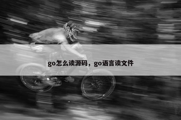 go怎么读源码，go语言读文件