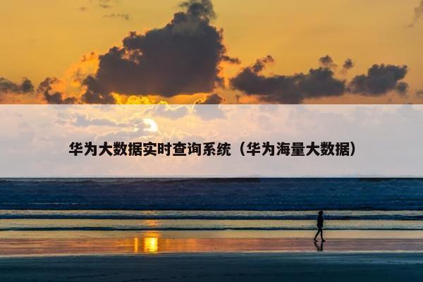 华为大数据实时查询系统（华为海量大数据）