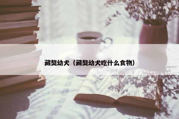 藏獒幼犬（藏獒幼犬吃什么食物）