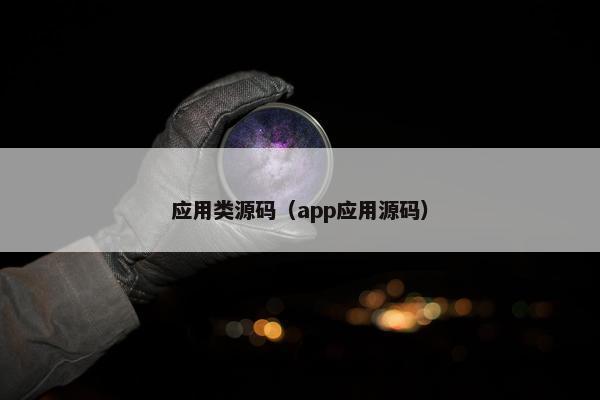 应用类源码（app应用源码）