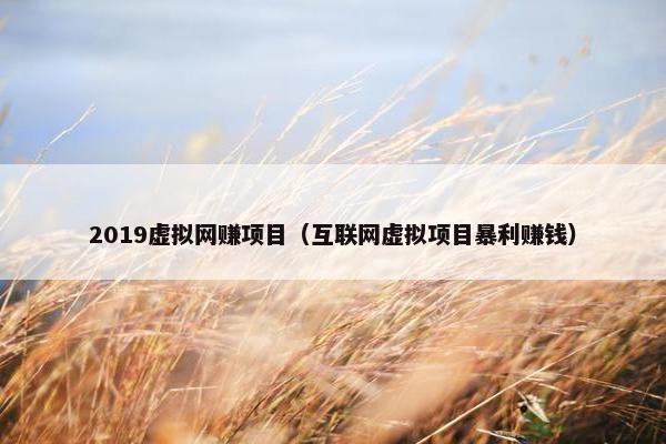 2019虚拟网赚项目（互联网虚拟项目暴利赚钱）