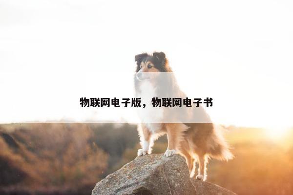 物联网电子版，物联网电子书