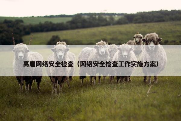高唐网络安全检查（网络安全检查工作实施方案）